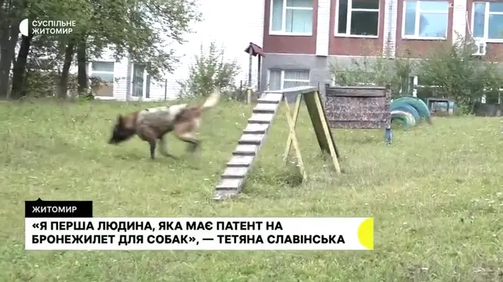 Патент на дизайн бронежилета для службових собак